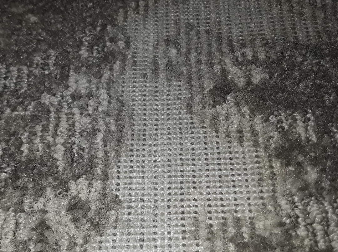 SpringHill Suites Baltimore White Marsh/Middle River主图