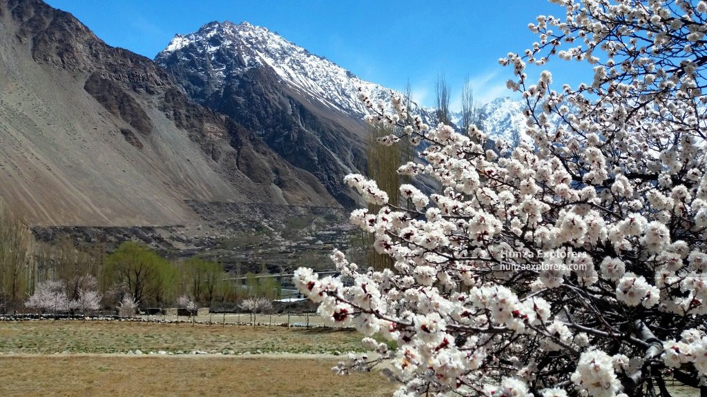 Hunza Explorers-罕萨必去景点