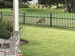普罗蒂亚乔治王酒店主图