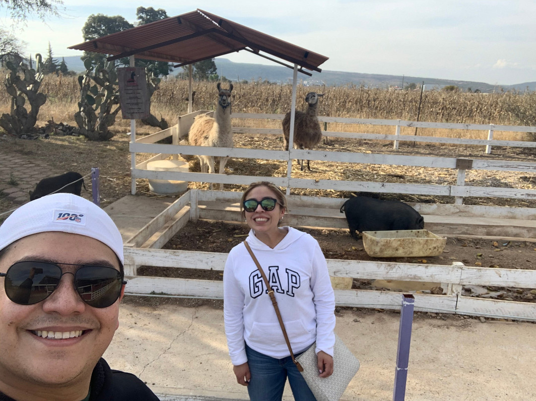 Cerveceria Opalo-Tequisquiapan必去景点