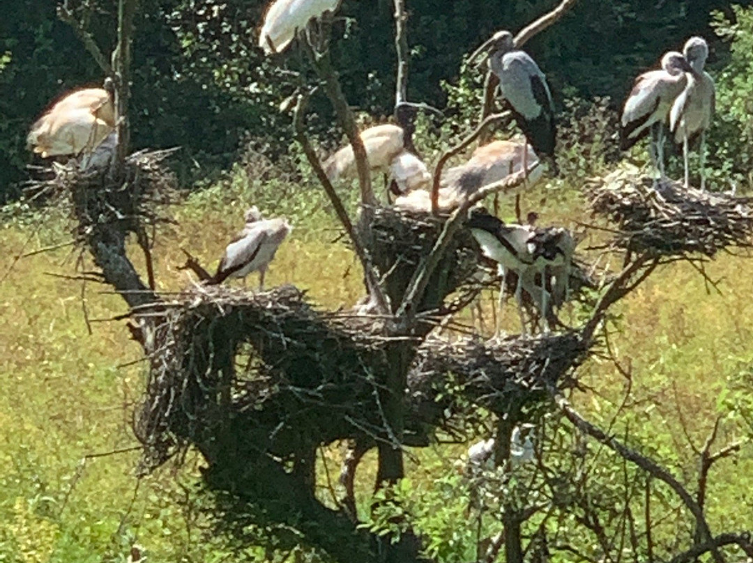 Wasgamuwa National Park-波隆纳鲁瓦必去景点