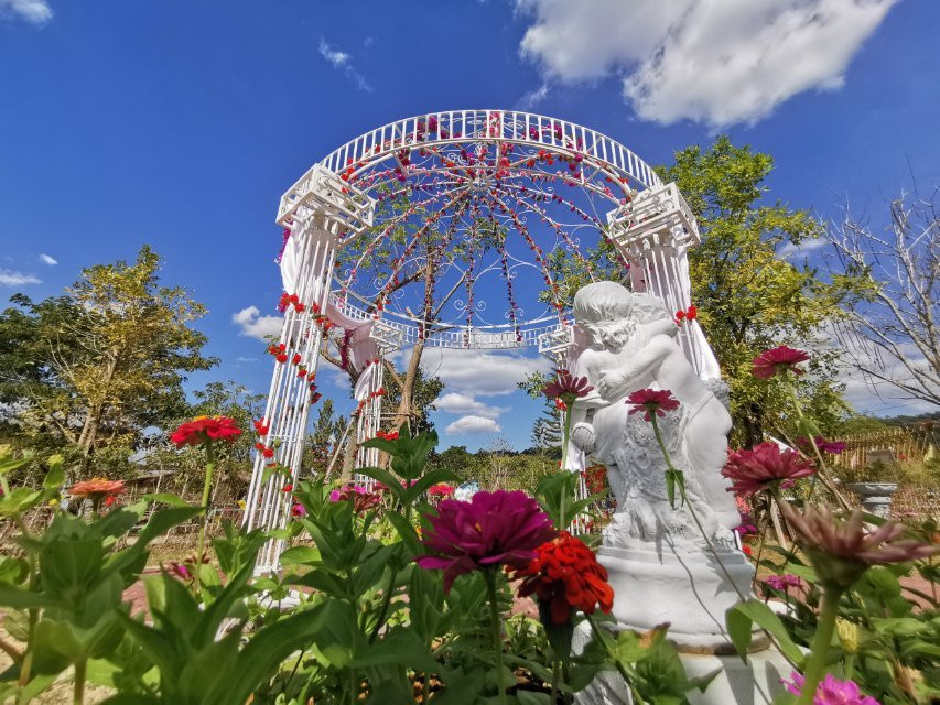 Viva Foresta Farm-那艾安必去景点