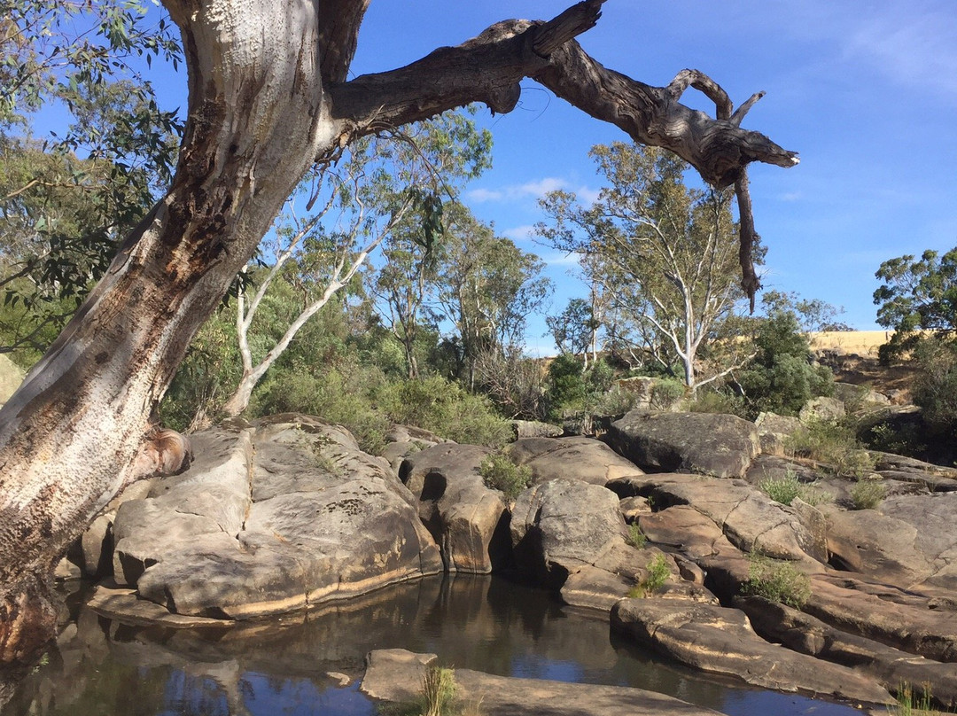 Metcalfe Cascades-Metcalfe必去景点