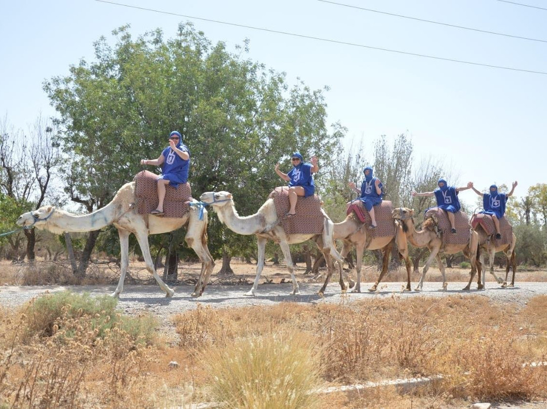 Sun Quad Aventure-Palmeraie必去景点