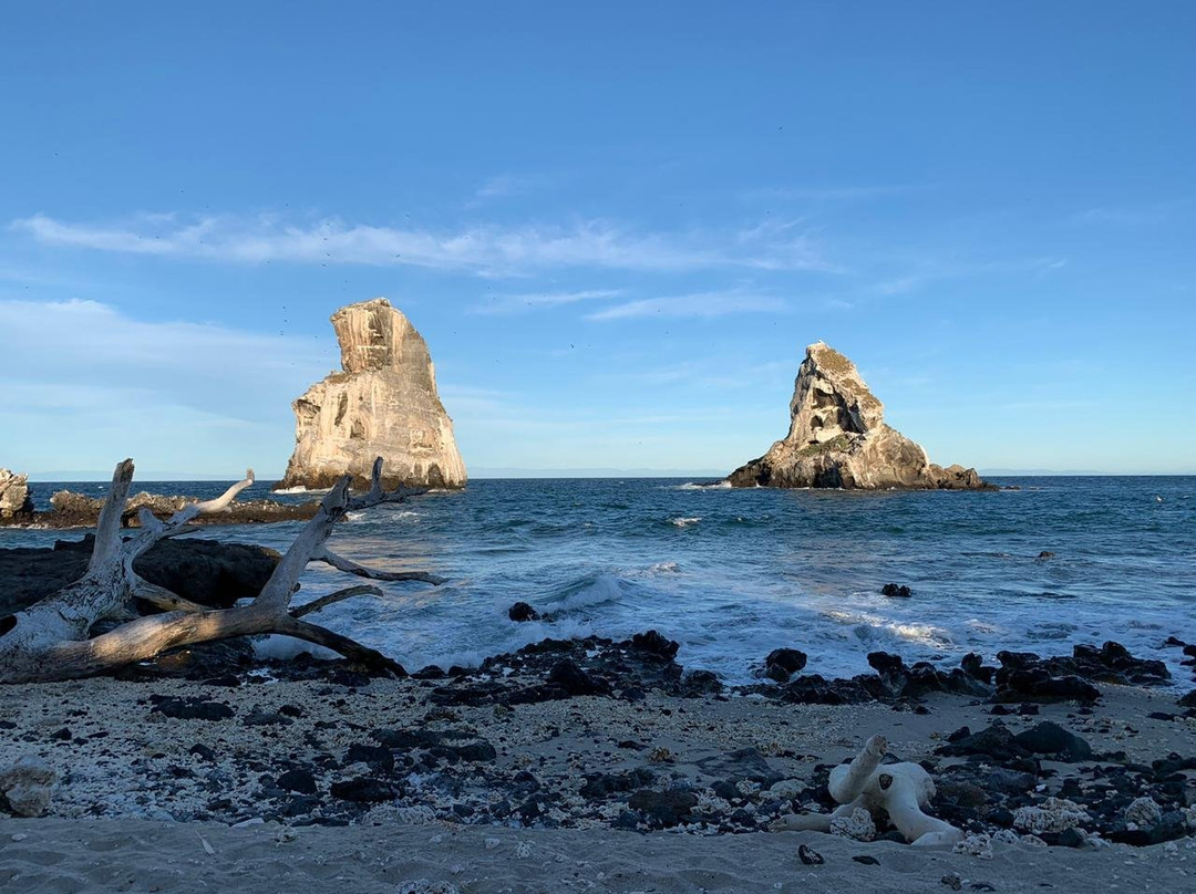 Isla Isabel-San Blas必去景点