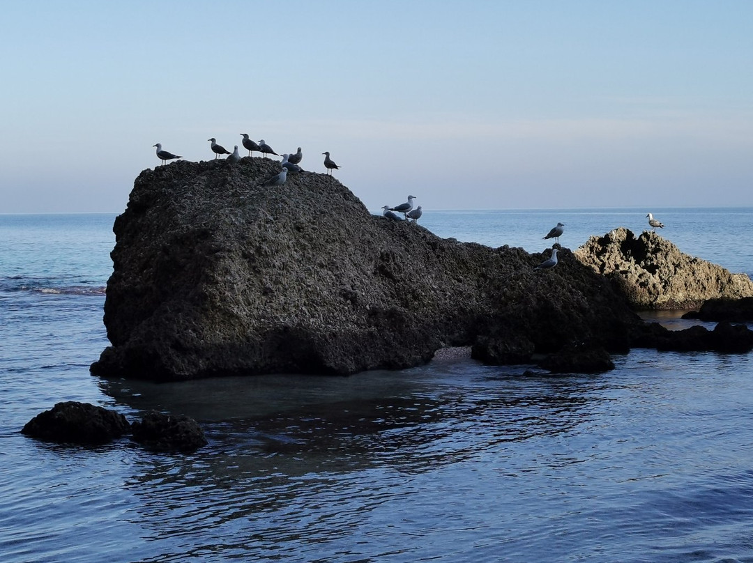 Cala de Trapana景点图片