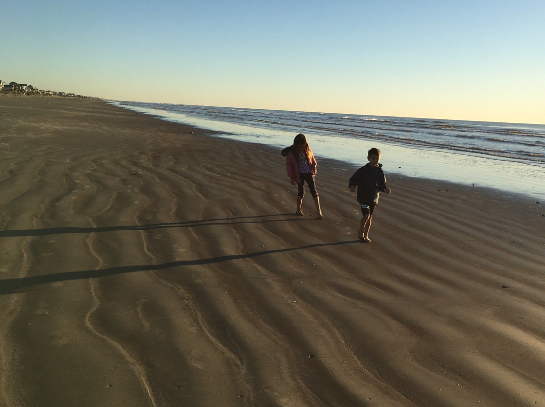 Galveston Island State Park景点图片