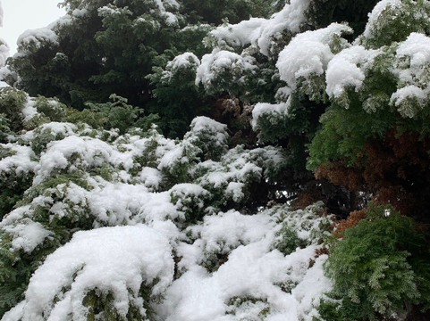 仙女山华邦酒店主图
