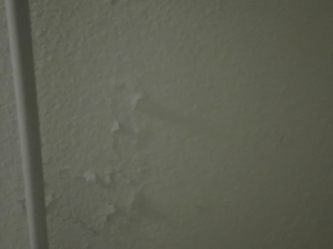 弗莱彻酒店主图