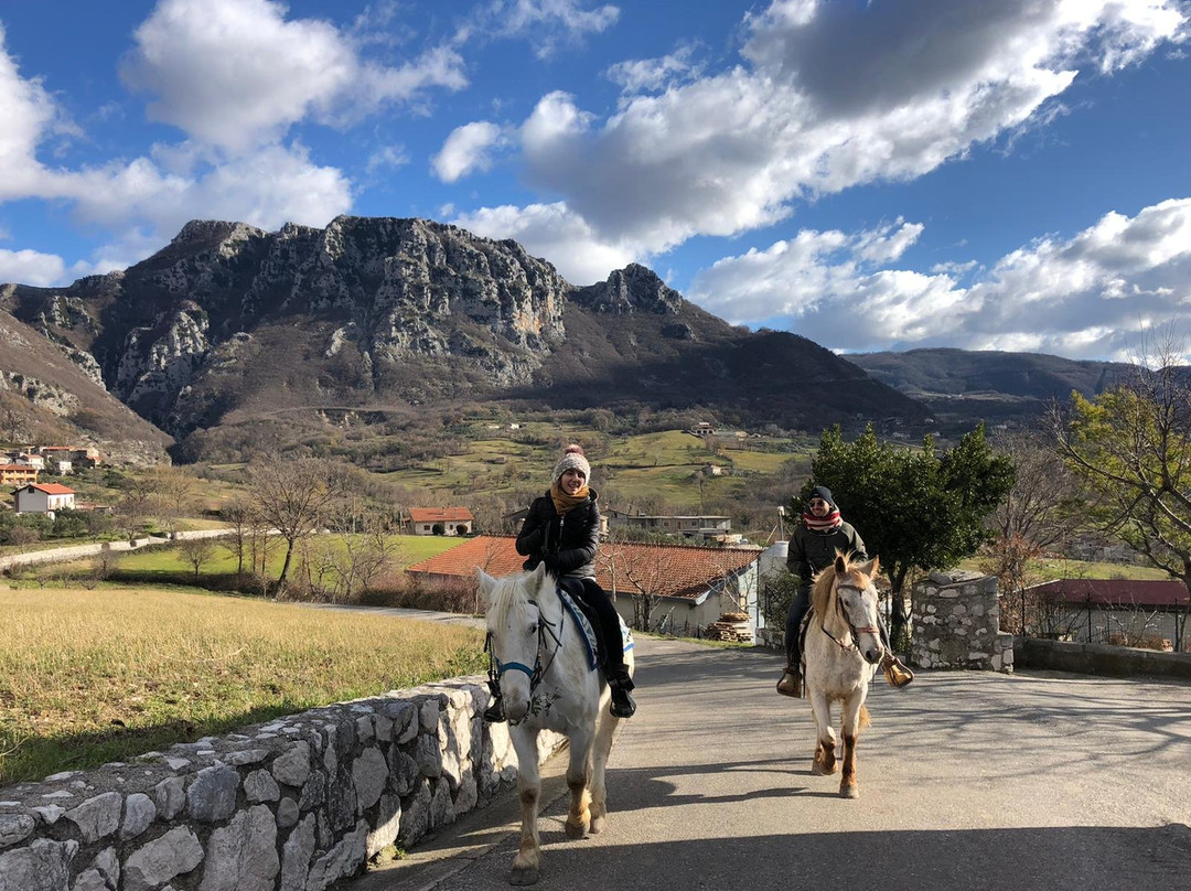 B&B dell'Agriturismo Casale Vitelli主图