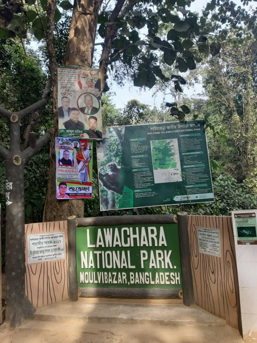 Lawachara National Park景点图片