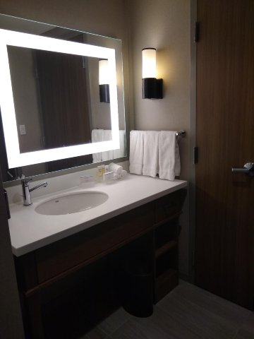 波士顿沃本Homewood Suites by Hilton-浴室