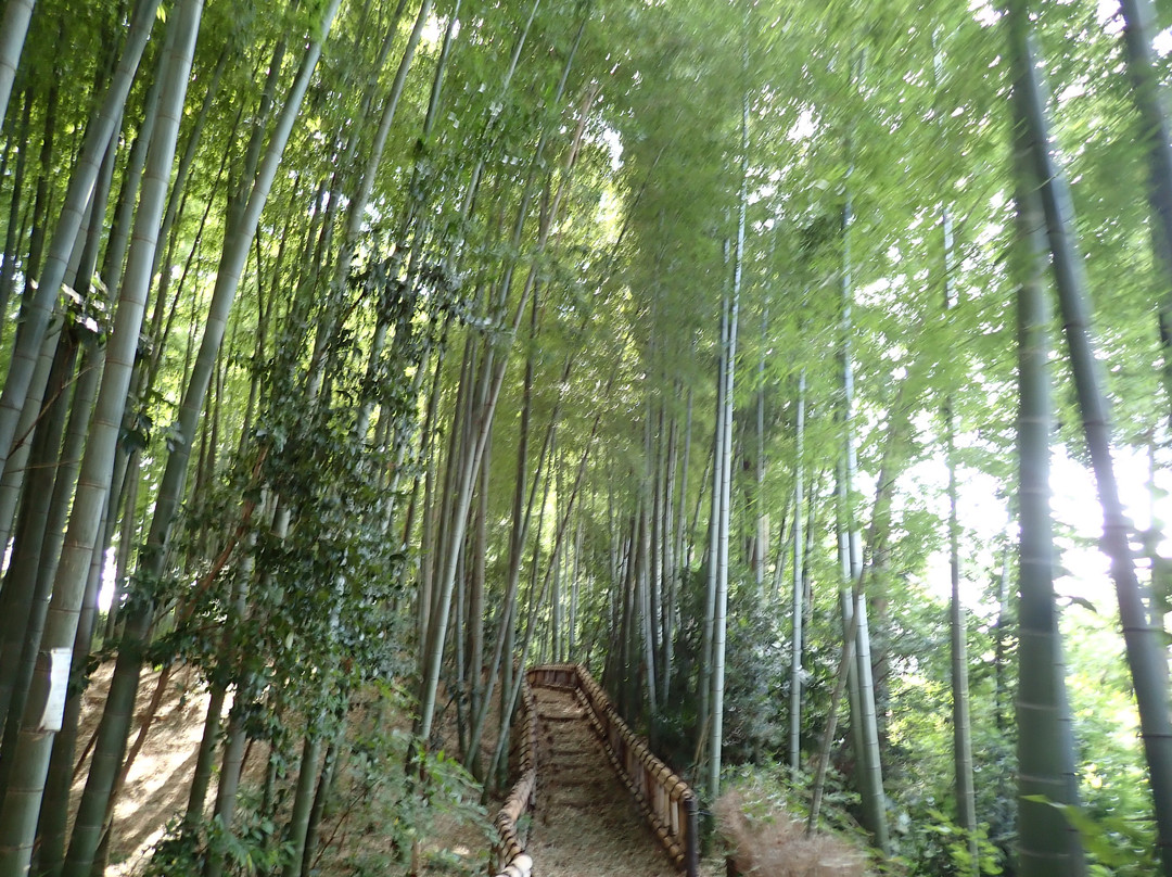 Chikurin Park-东久留米市必去景点