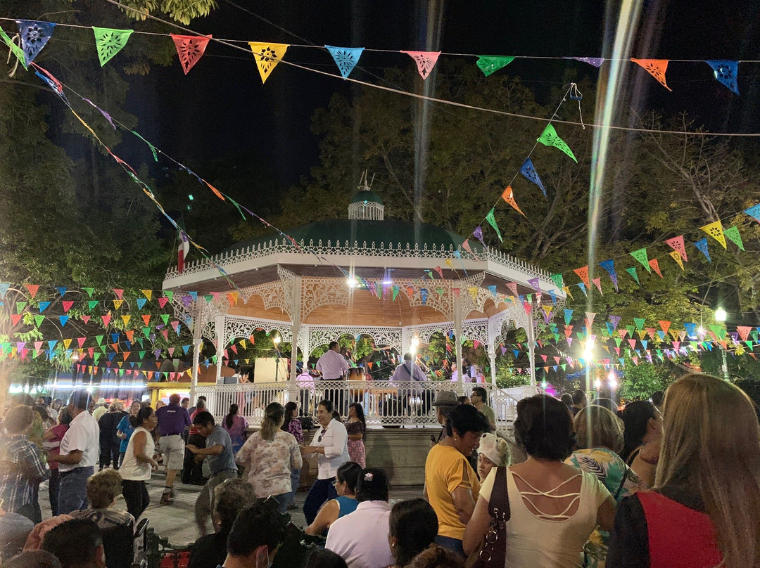 Parque de la Marimba-图斯特拉古铁雷斯必去景点