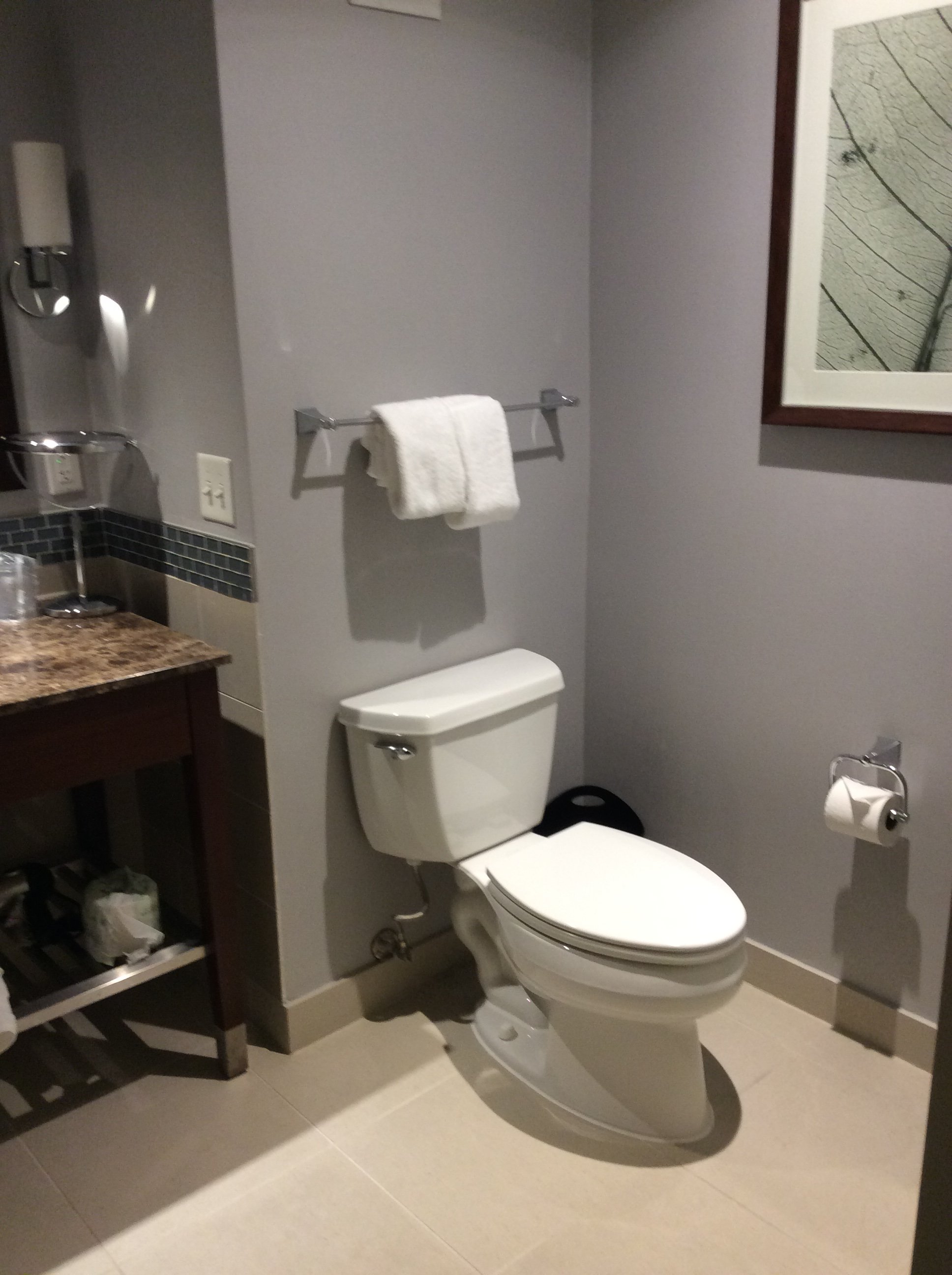 The Westin Reston Heights-浴室