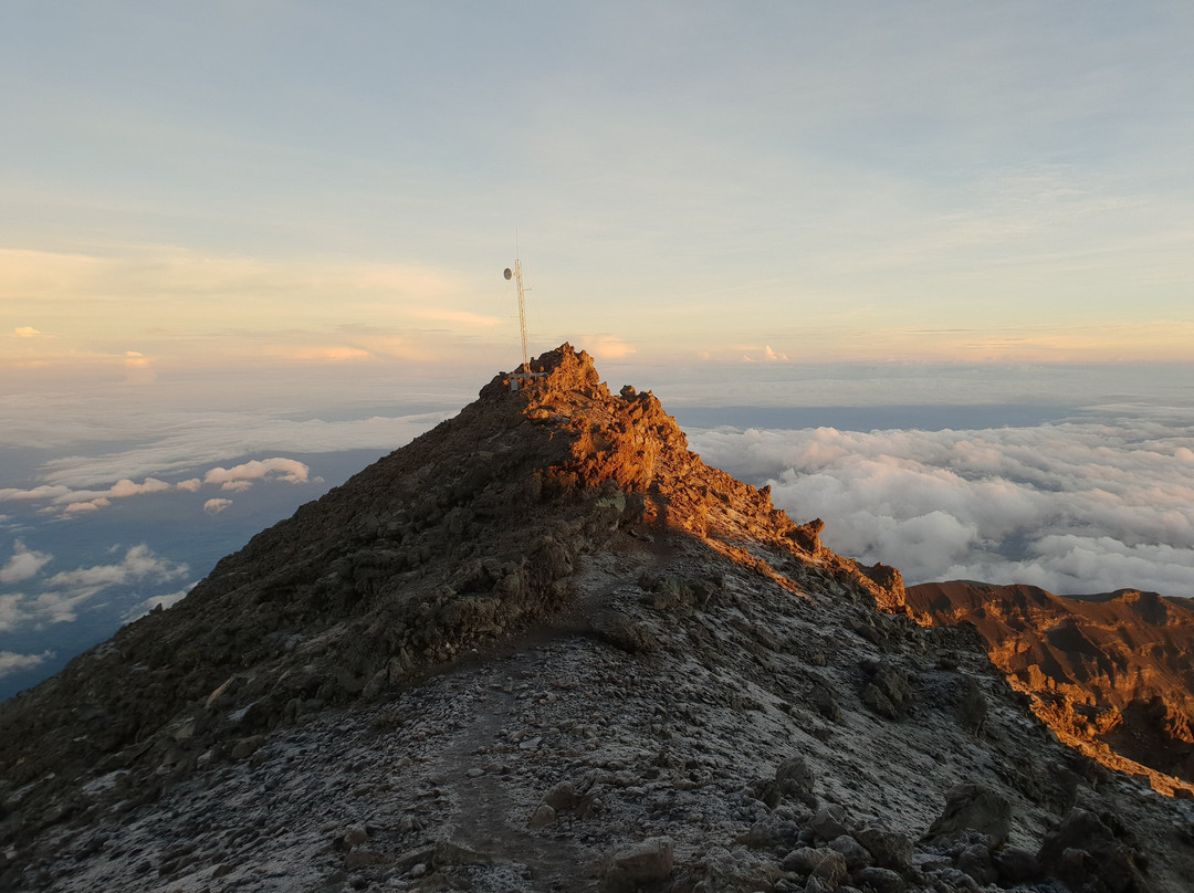 Alligator Trekking and Safaris-阿鲁沙必去景点