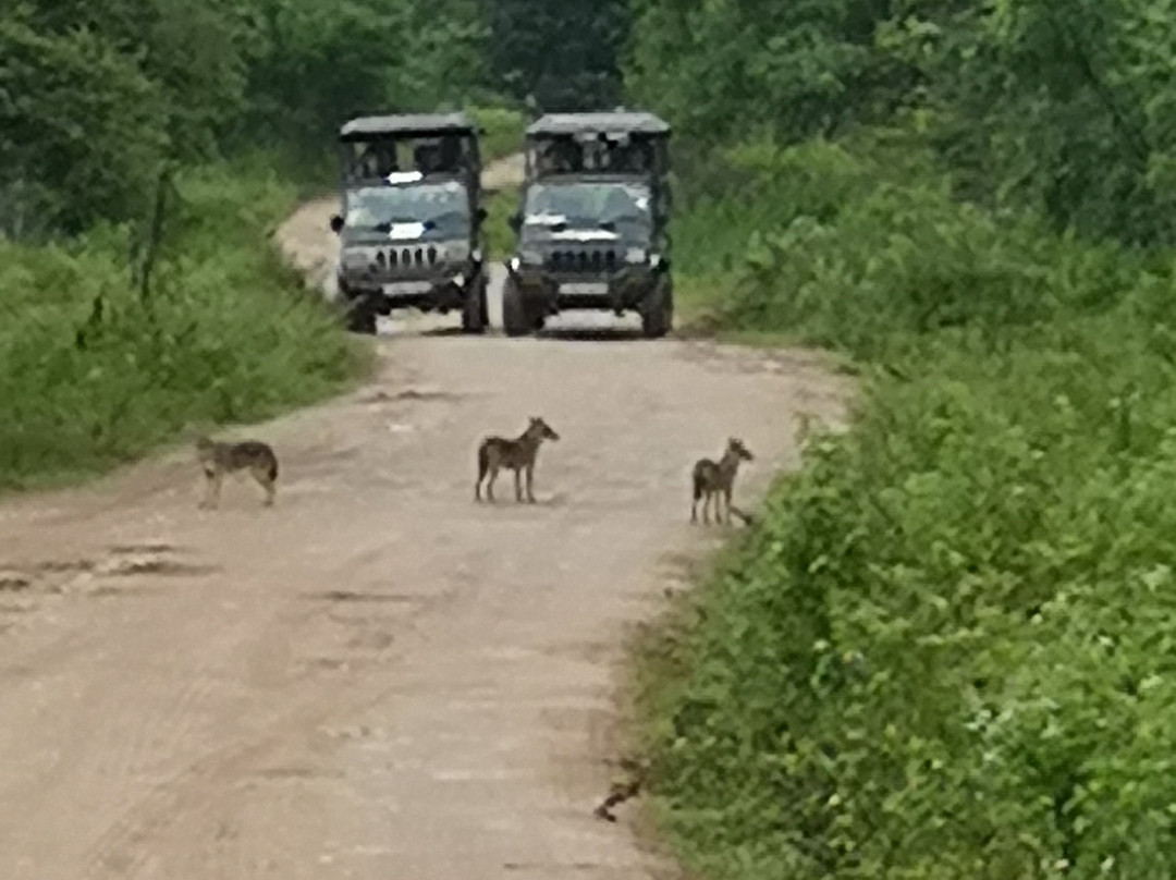 Udawalawe Safari by Leel.-乌达瓦拉瓦必去景点
