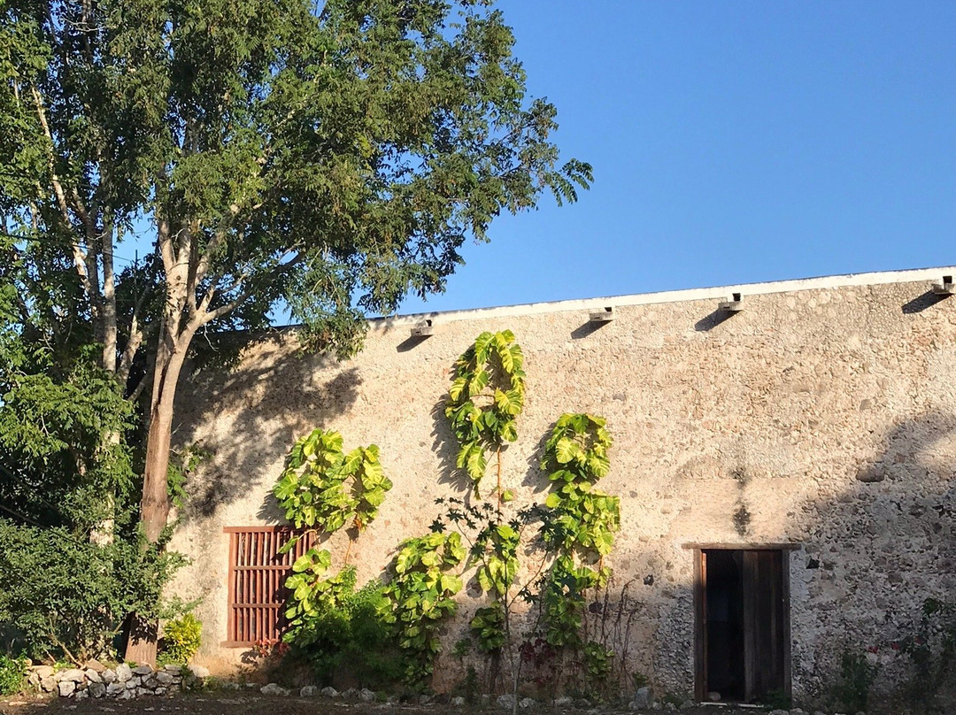 Ex Convento Franciscano-Tizimin必去景点