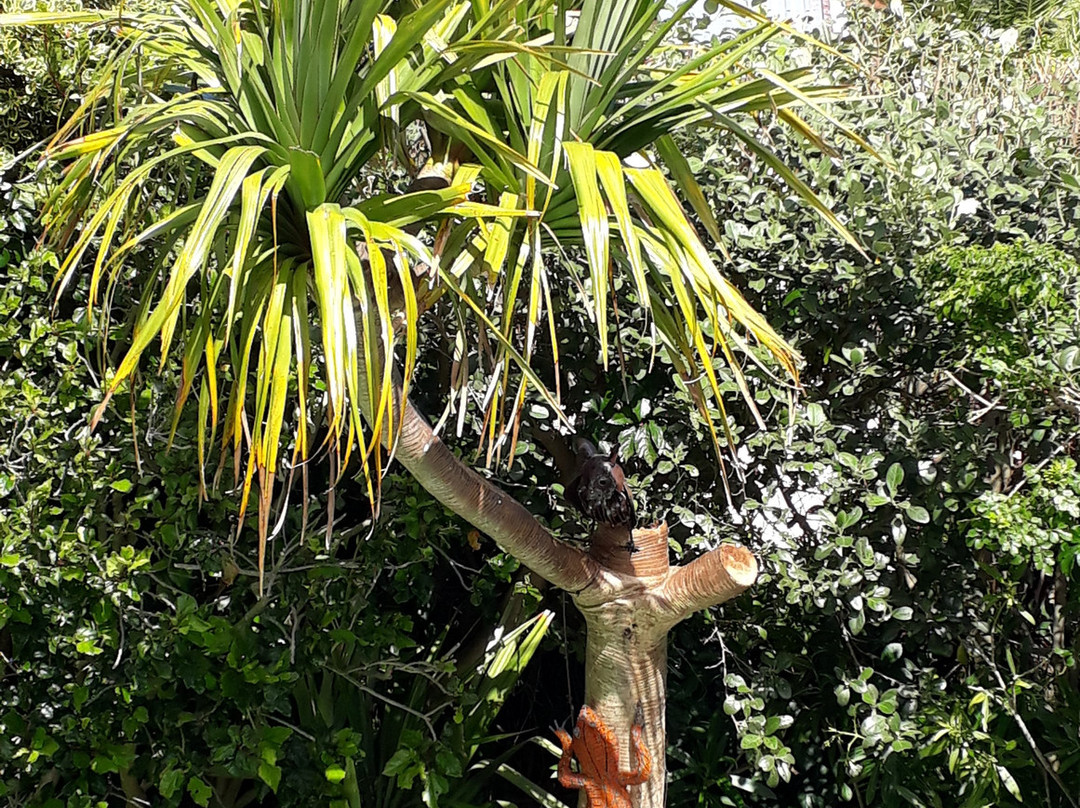 Cape Rose Cottage主图