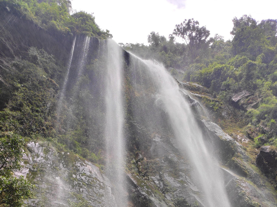 Local Tours Colombia-波哥大必去景点