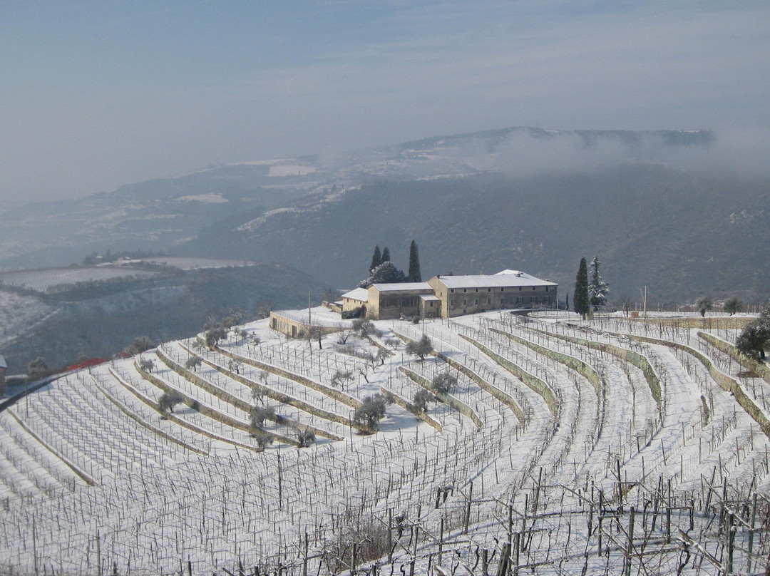 TENUTA SANTA MARIA VALVERDE景点图片