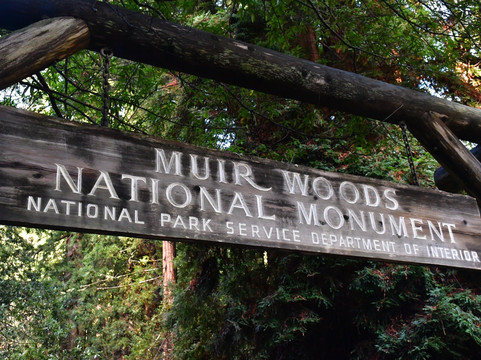 Tower Tours - San Francisco Sightseeing Specialist-旧金山必去景点