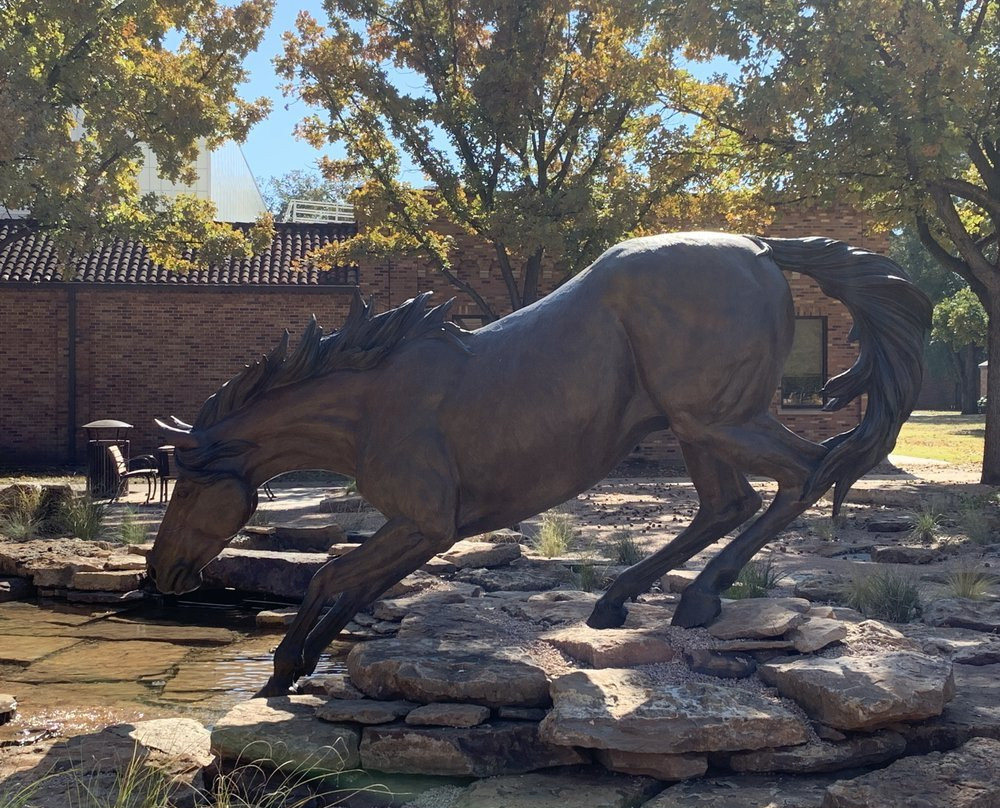 Midwestern State University景点图片