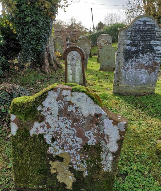 Whithorn Priory-Whithorn必去景点