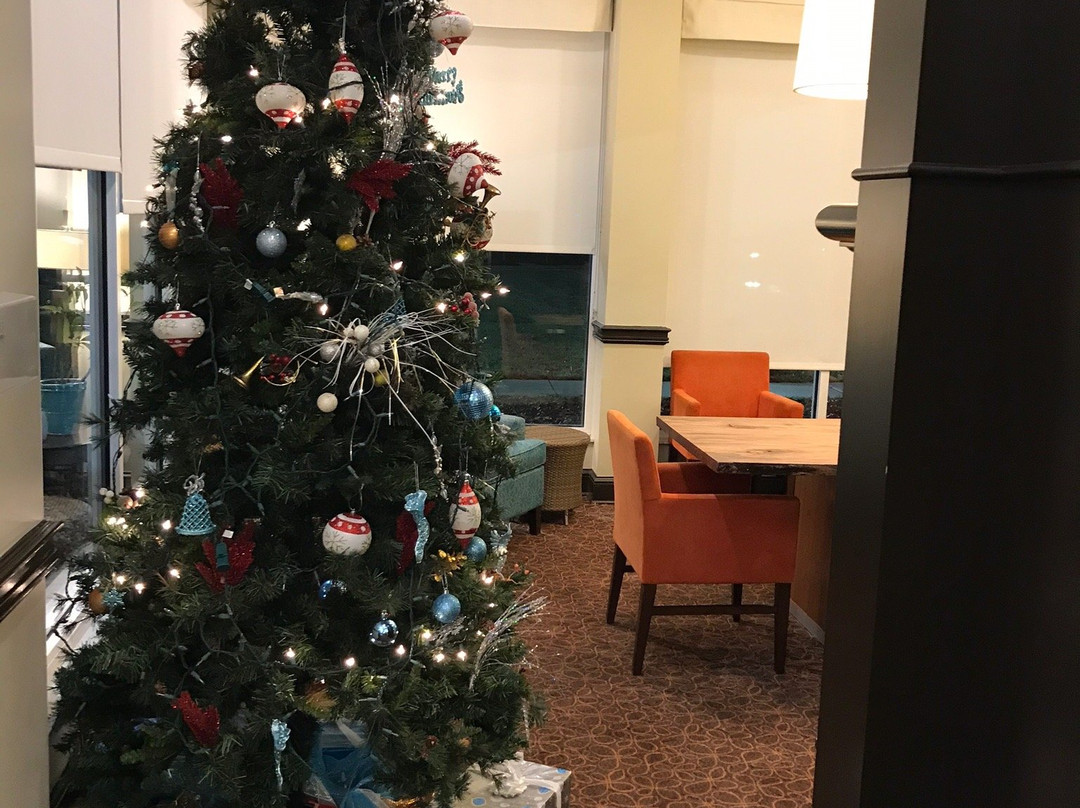 印第安纳波利斯/卡梅尔希尔顿花园酒店主图