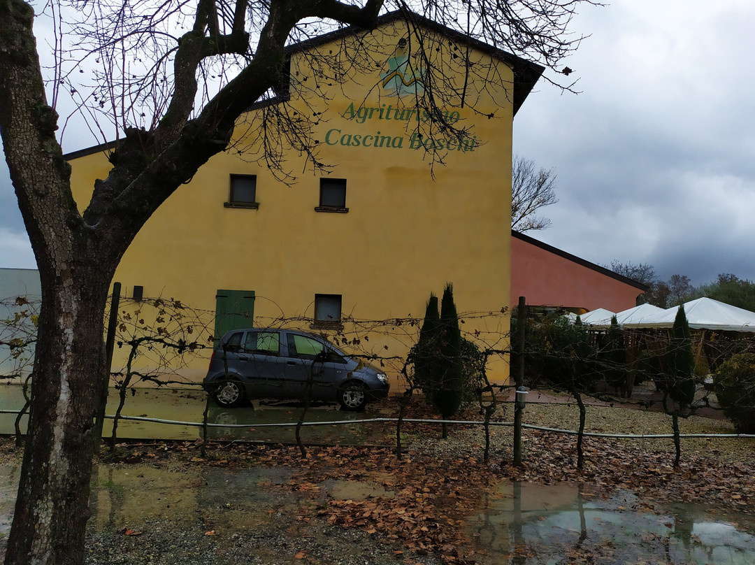 Agriturismo Cascina Boschi主图