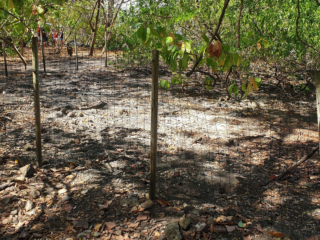 Ïlet Chancel-Le Robert必去景点