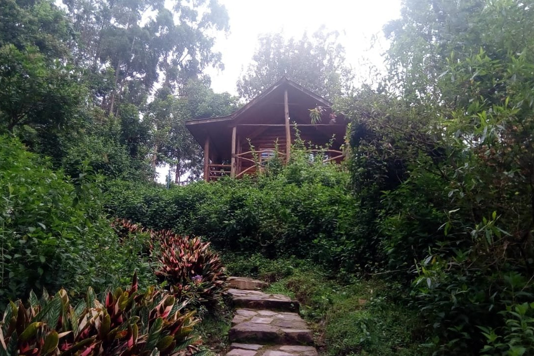 Lake Bunyonyi Eco Resort主图