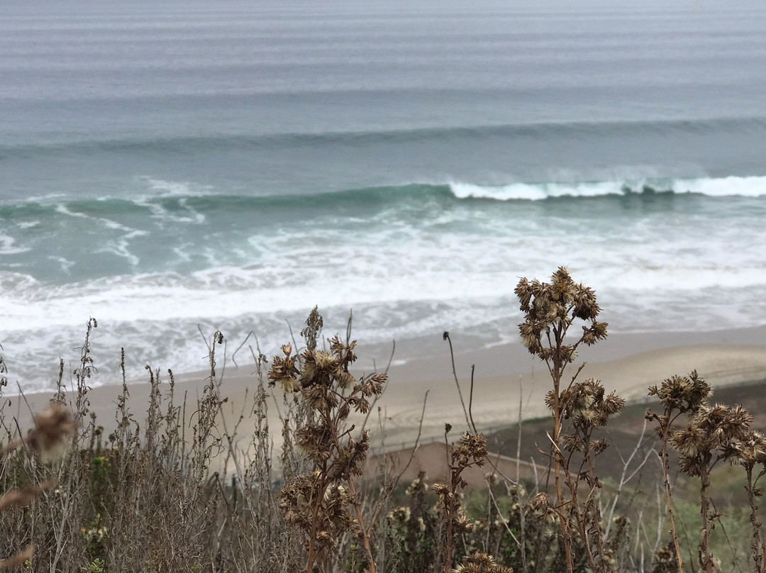 Dana Strands Beach-德纳角必去景点