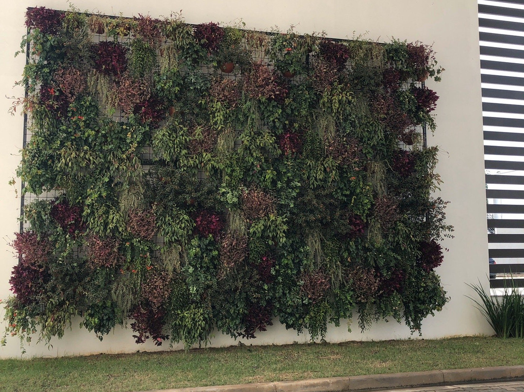 San Diego Legacy主图