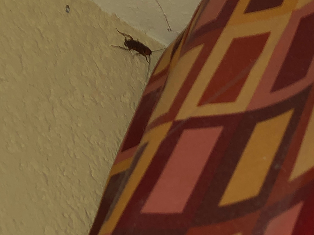 哥伦比亚东北-杰克逊堡舒适套房酒店主图