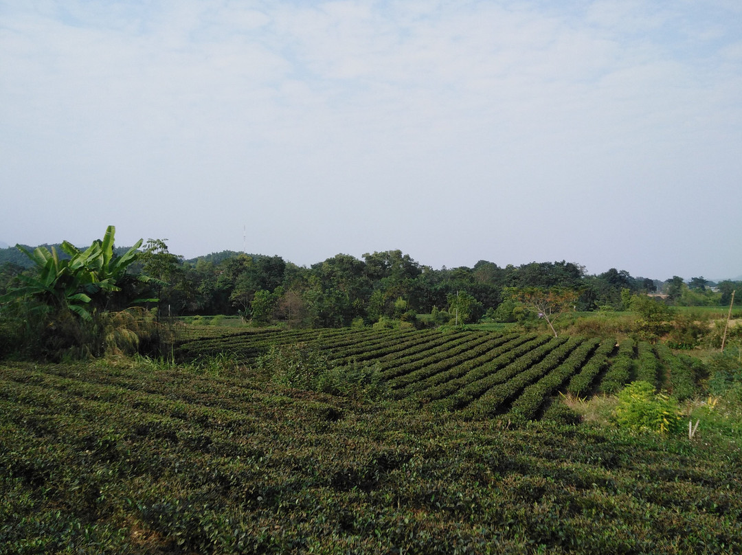 Cua Tu Waterfall-Thai Nguyen必去景点