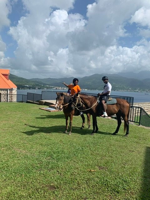Rainforest Riding-Portsmouth必去景点