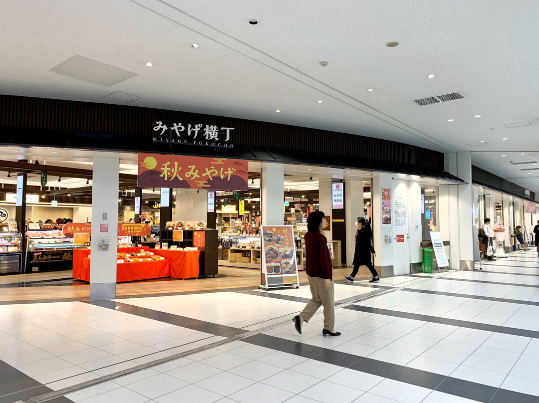 Ekimachi 1Chome Kagoshima-鹿儿岛市必去景点