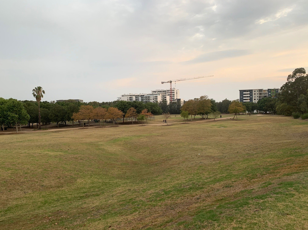 Holroyd Gardens景点图片