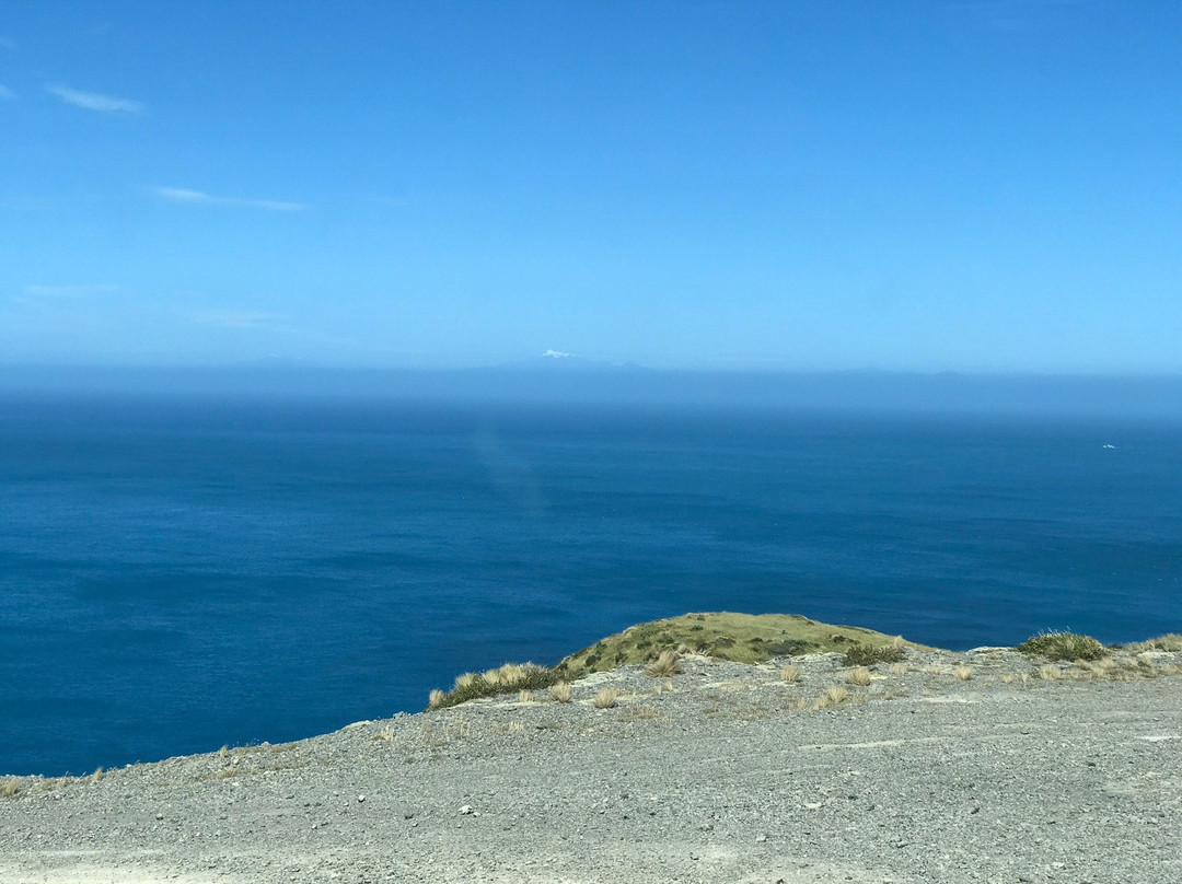 Princess Bay-惠灵顿必去景点