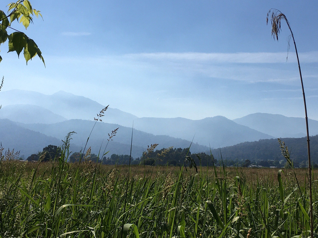 Pebble Beach Trail-Mount Beauty必去景点