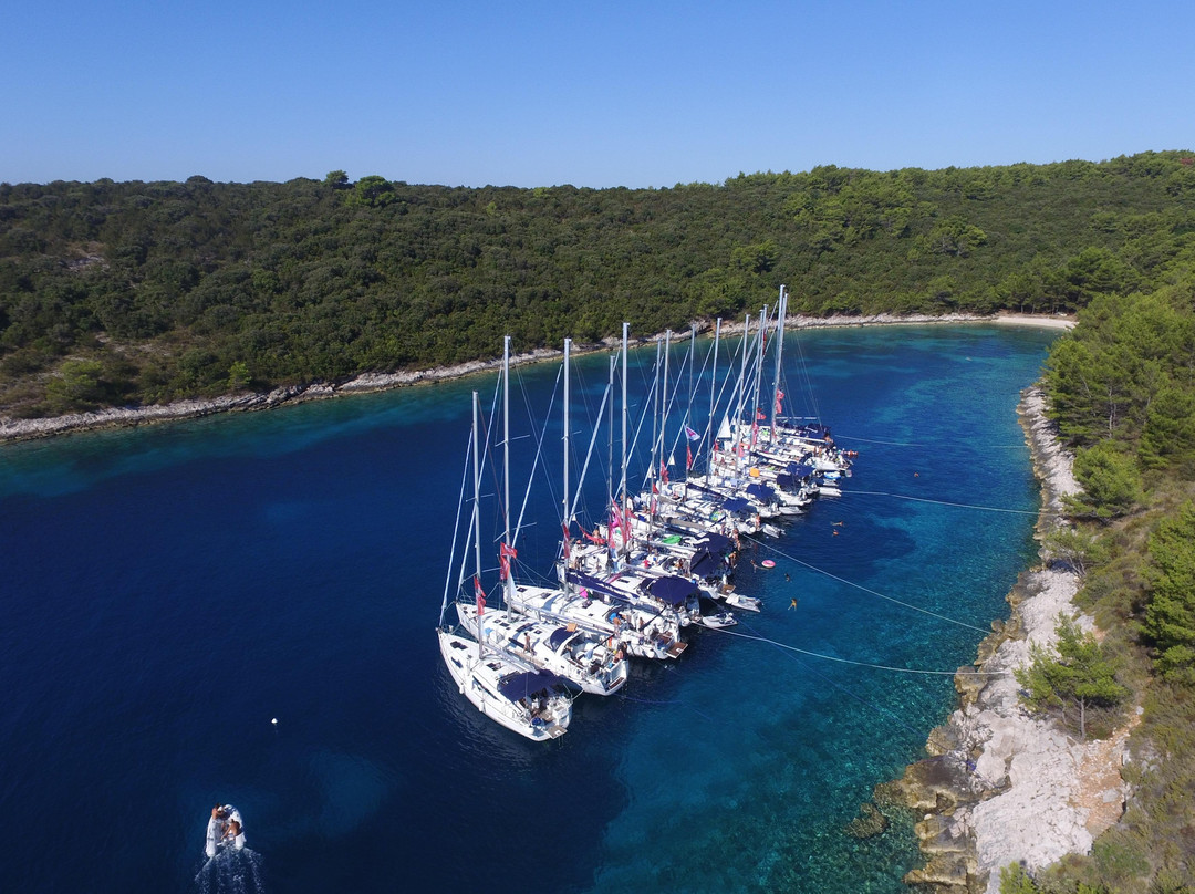 Water Tribe Sailing Travel & Experience