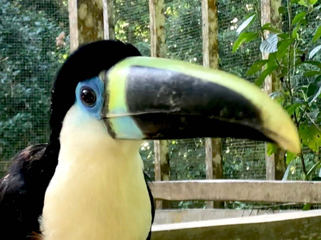 Amazon Tahuari Tours-伊基托斯必去景点