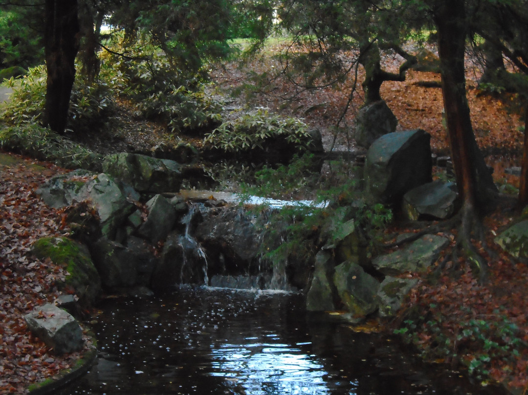 Friendship Gardens & Tipperary Park景点图片