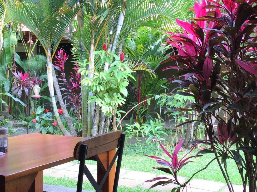 B&B Garden Grecia主图