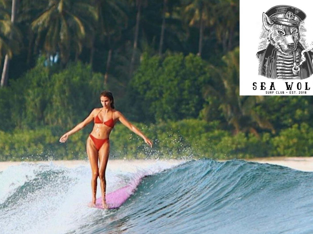 Sea Wolf Surf School-弗洛里亚诺波利斯必去景点