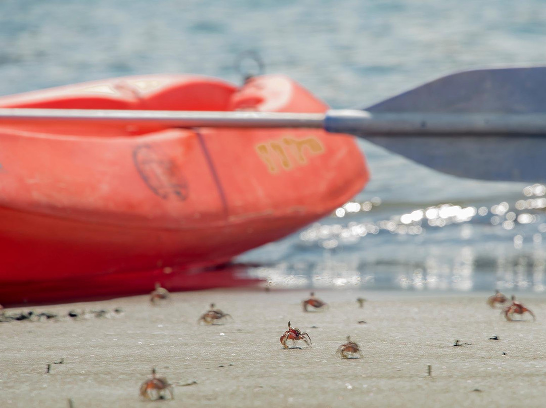 Borondo-卡利必去景点