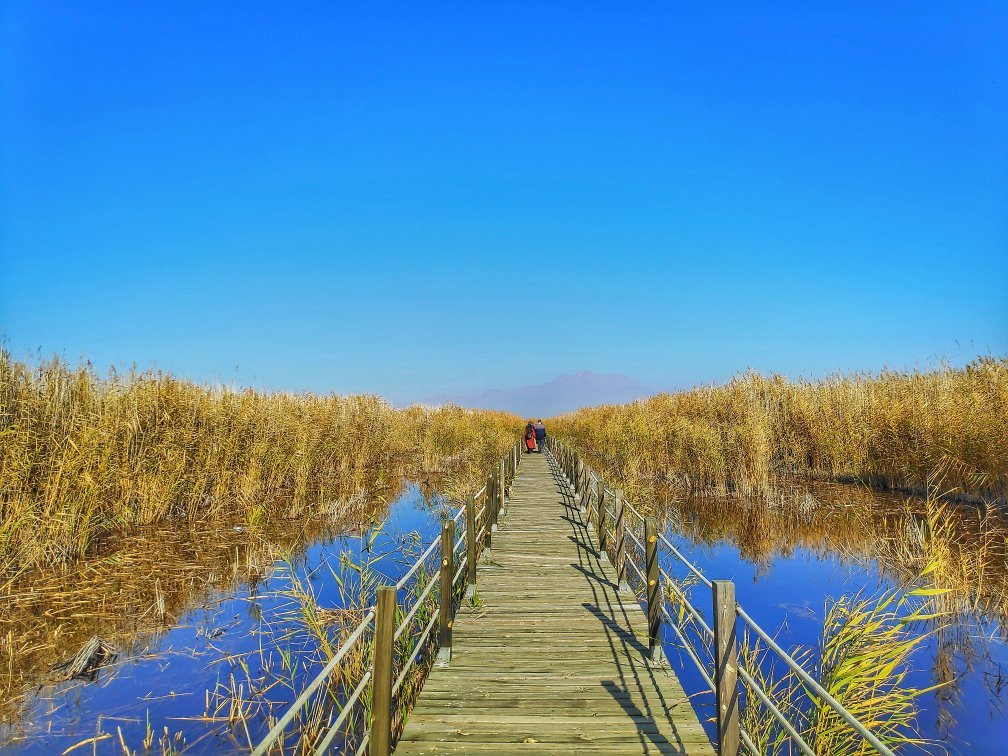 Sultansazlıgi Milli Parki-Yesilhisar必去景点