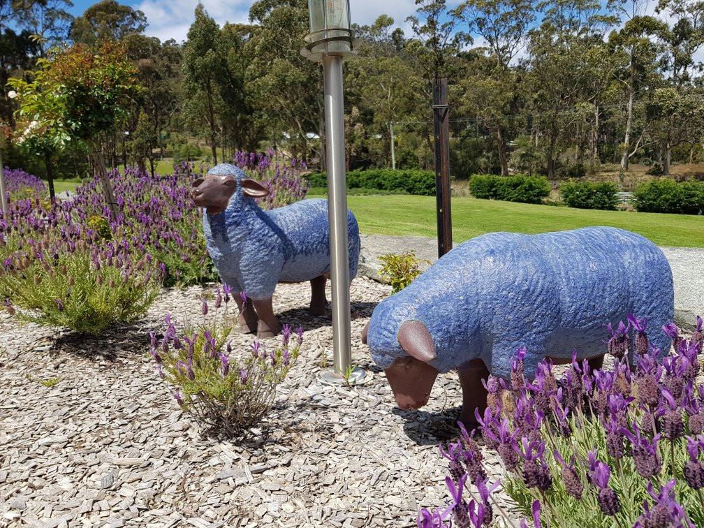 Port Arthur Lavender Farm · Tourist Attraction景点图片