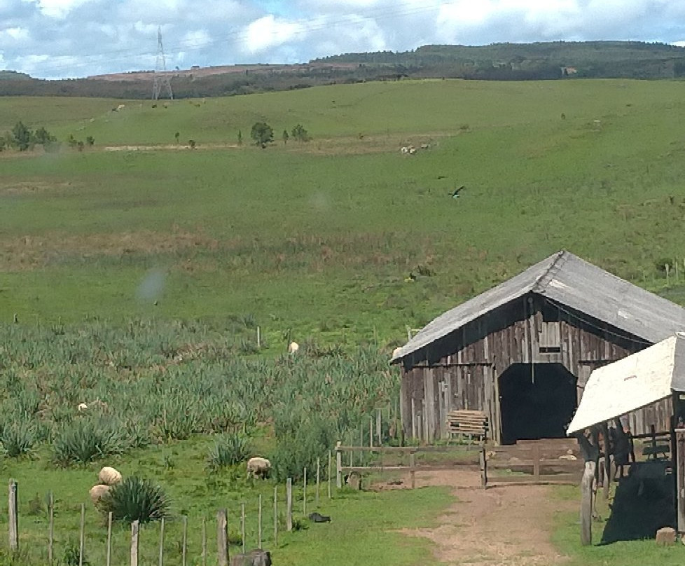 RB Cavalos-Sao Francisco de Paula必去景点